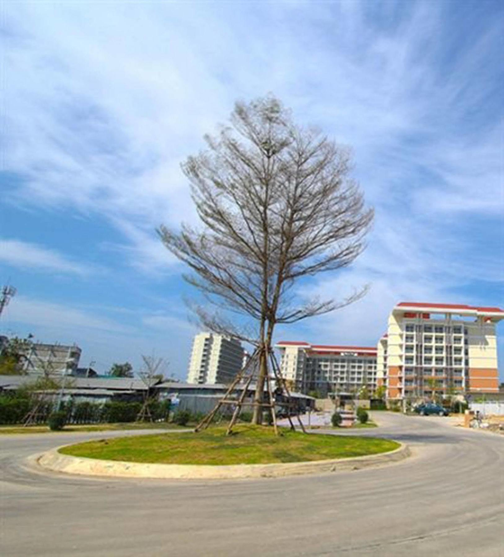 Grow Residences Bangkok Exterior foto